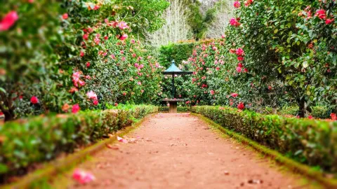 Linnaea Gardens & Conservatory — fictional demonstration garden